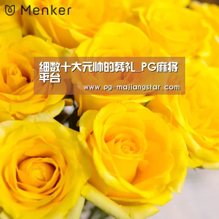 细数十大元帅的葬礼_PG麻将平台(图3) PG麻将平台